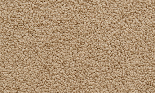 Close-up view of beige, textured carpet with a looped pile surface, showing small, tightly packed fibers creating a soft, even appearance.
