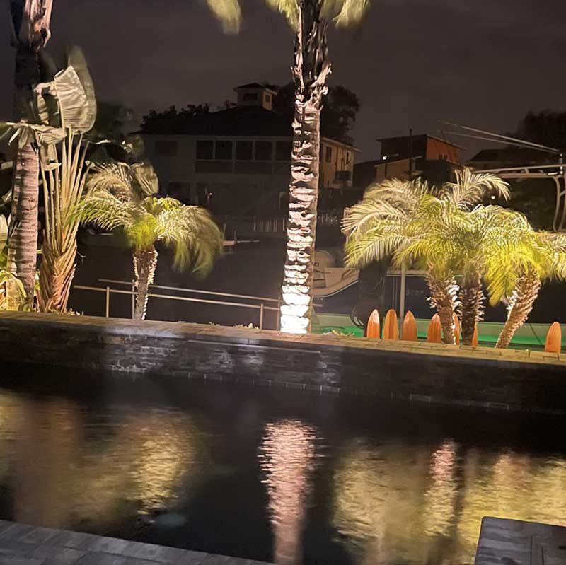 Nighttime scene of palm trees illuminated by lights, reflected in a swimming pool with a dark stone edge; boats and houses are visible in the background.